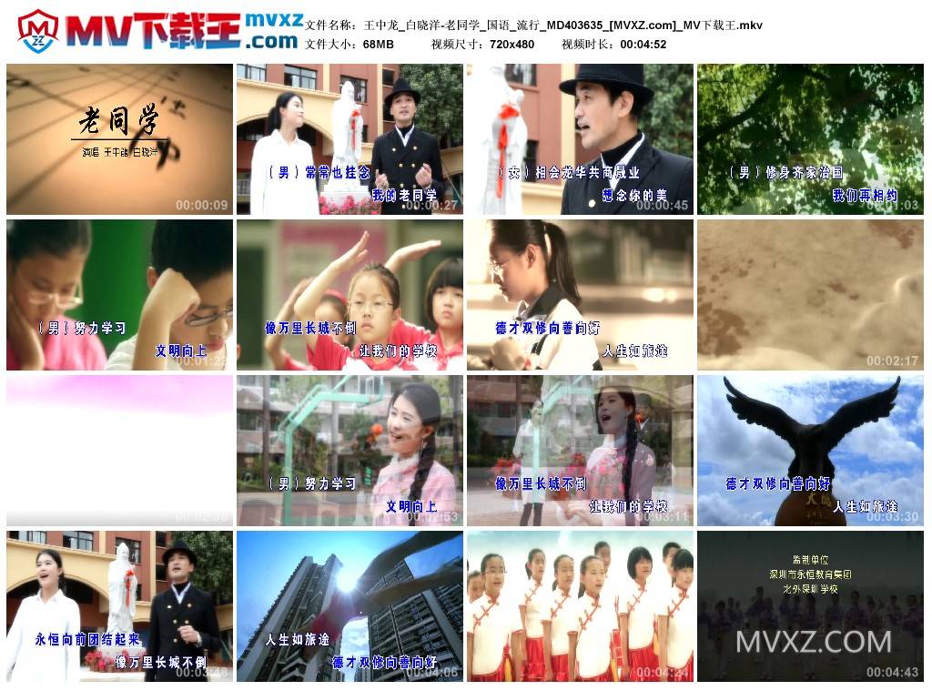 王中龙_白晓洋-老同学_国语_流行_MD403635